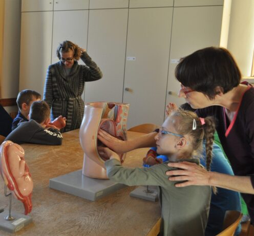 Tasterziehung gros 1536x1431